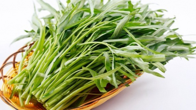 Kangkung.