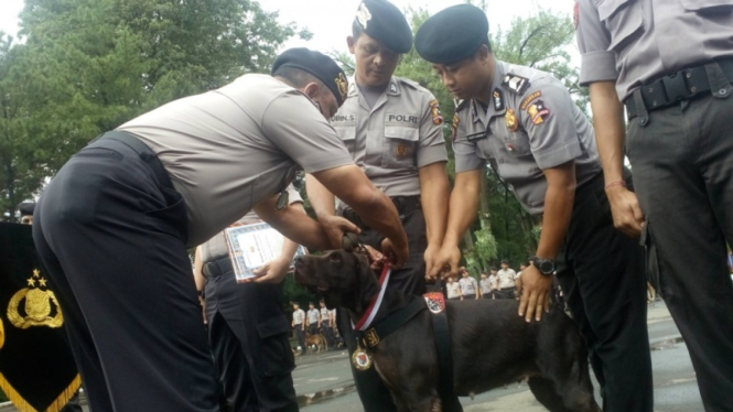 Pasukan K9 diberi penghargaan atas pencarian korban bencana