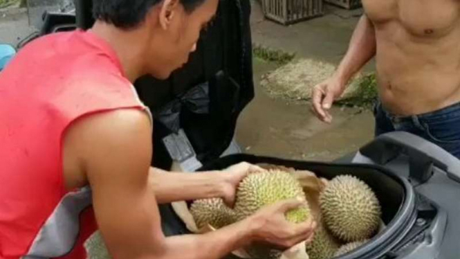 Yamaha XMAX buat angkut durian