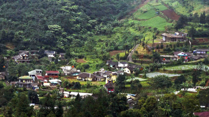 Suasana pemukiman warga dan bangunan vila di kawasan Puncak, Bogor