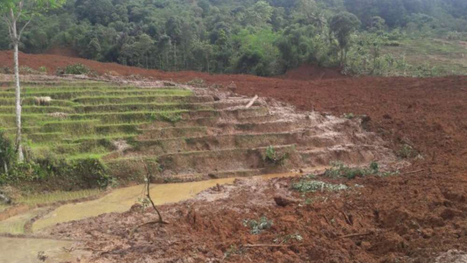 Longsor di Brebes, Jawa Tengah.