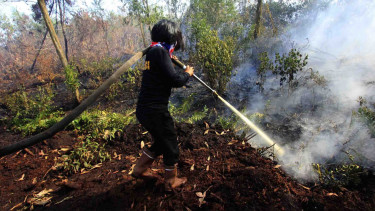 Seorang polisi wanita memadamkan api yang membakar lahan gambut di Riau
