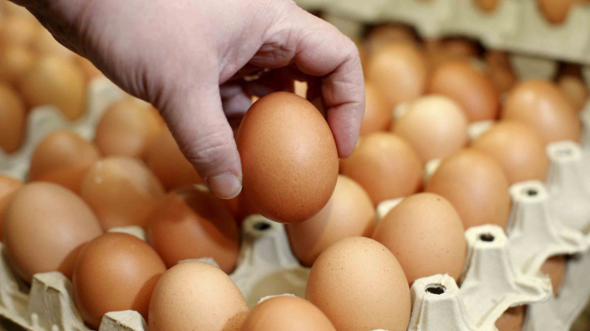 Telur ayam.