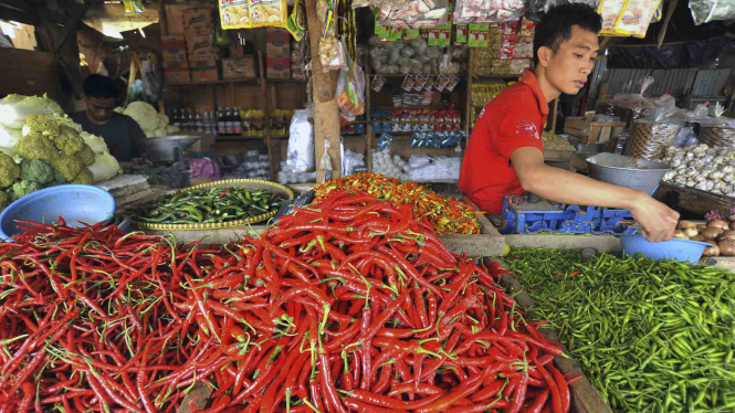 Pedagang sayur menyortir cabai 