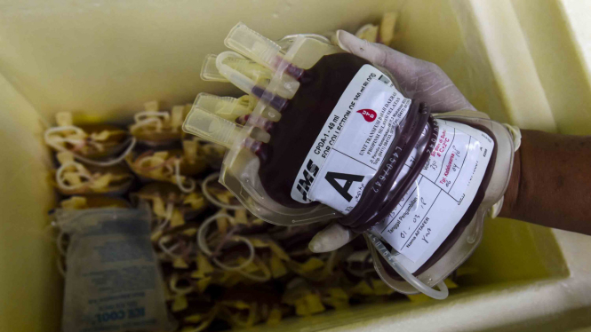 Ilustrasi donor darah.