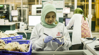 Petugas Palang Merah Indonesia (PMI) mendata kantong darah