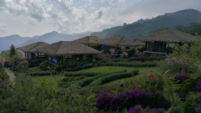 Suasana di Yuyupas, Alishan, Taiwan