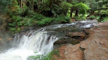 Sungai air panas di Rotorua, Selandia Baru.