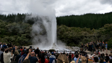 Lady Knox geyser di Rotorua, Selandia Baru.