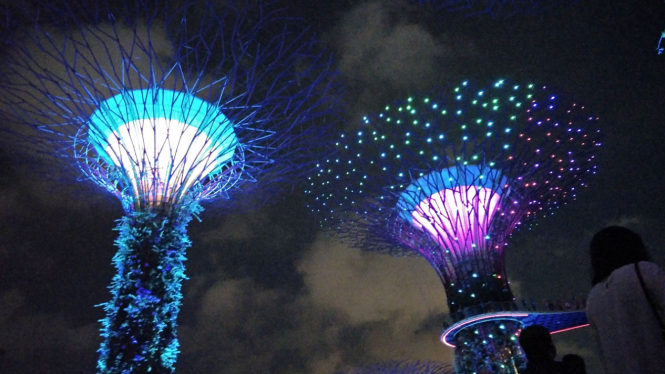 Atraksi Supertrees di Singapura