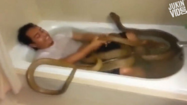 Pria mandi bersama ular.