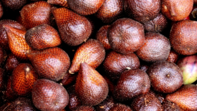 Ilustrasi Salak