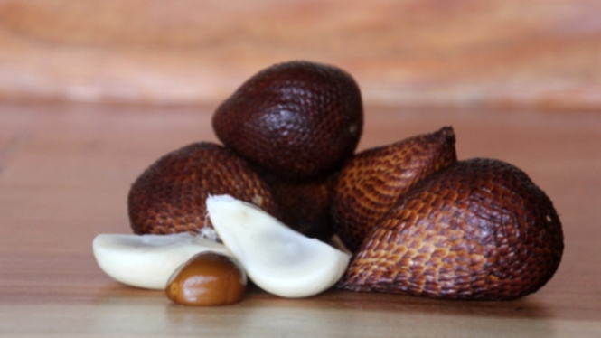 Ilustrasi Salak