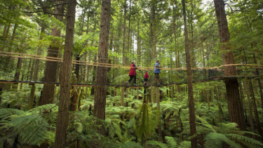 Redwoods Treewalk, Rotorua, Selandia Baru.