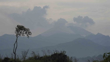 Warga Terdampak Gas Beracun Gunung Ijen