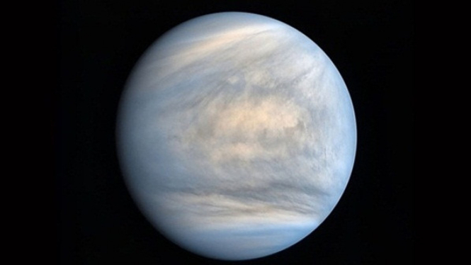 Ilustrasi venus.