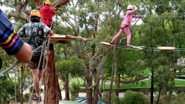 Wisata tree surfing, bergelayutan di pepohonan dengan ketinggian 10 meter.