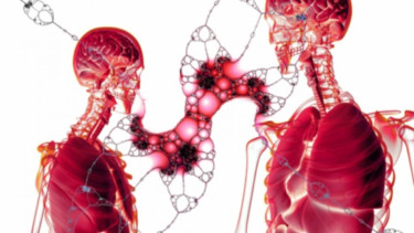 ilustrasi liver