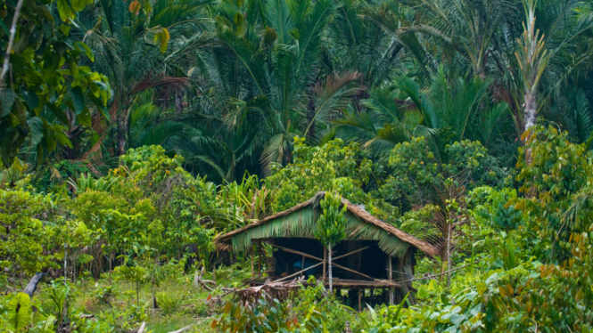 Kepulauan Mentawai, Indonesia
