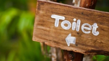 Ilustrasi toilet.