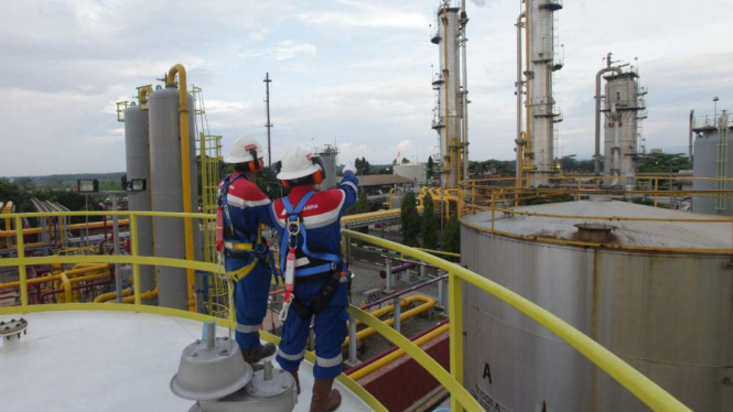 Ilustrasi Pertamina EP Asset 3 Subang Field.