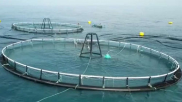 Keramba Jaring Apung Offshore di Pangandaran, Jawa Barat.
