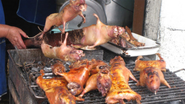 Tikus bakar.