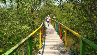 Wisata Muara Bengawan Solo di Desa Pangkah Wetan, Jawa Timur