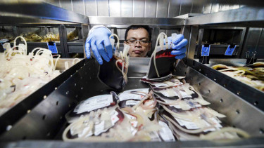 Petugas Palang Merah Indonesia (PMI) menyimpan kantong darah berdasarkan golongan di Laboratorium PMI Kota Bandung, Jawa Barat