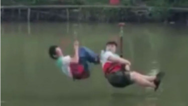Main flying fox.