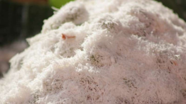 Onde-Onde khas Minangkabau