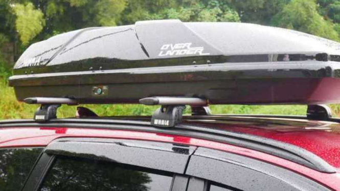 Roofbox Whale.