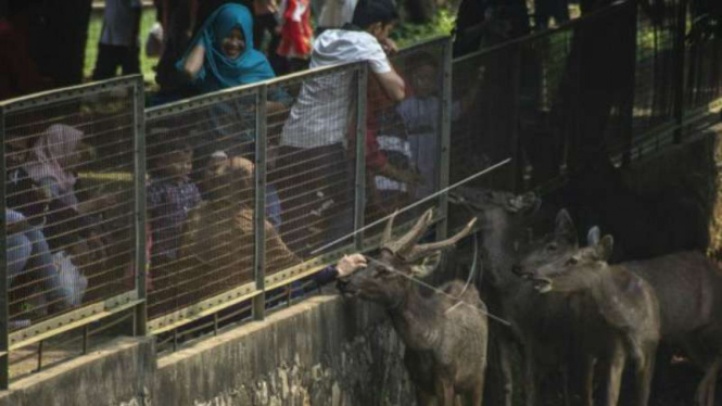 Pengunjung berlibur ke Taman Margasatwa Ragunan saat liburan panjang.
