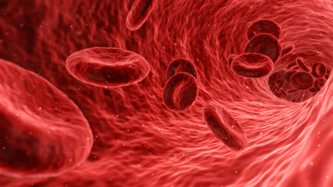 Ilustrasi sel darah merah.