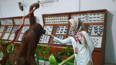 Museum Zoologi Sawahlunto, Sumatera barat