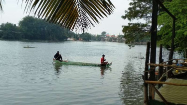 Lokasi penangkapan Ikan Arapaima di Rolak Gunungsari, Surabaya