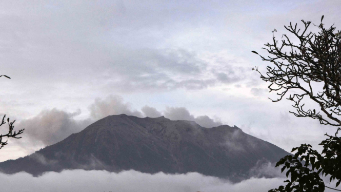 Asap yang mengepul di wilayah hutan Gunung Agung