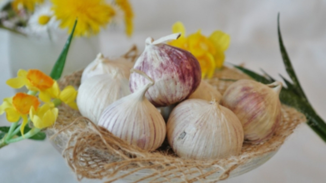 Bawang tunggal