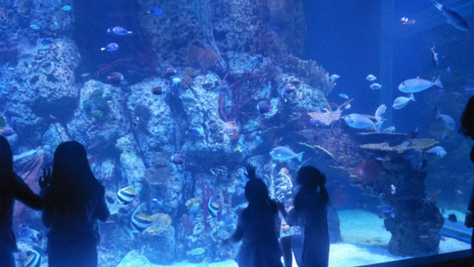 Jakarta Aquarium.