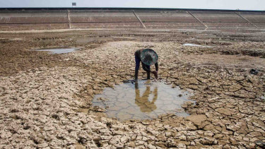 Waduk mengering akibat musim kemarau