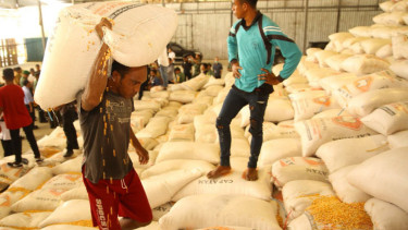 Sentra jagung Kabupaten Tojo Una Una (Touna) Sulawesi Tengah