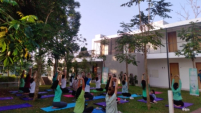 Olahraga Yoga untuk meringankan nyeri punggung