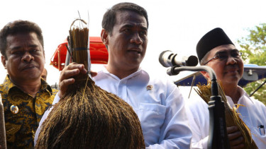 Kementan Bantu Buton Utara Kembangkan 5 Ribu Hektar Padi Organik