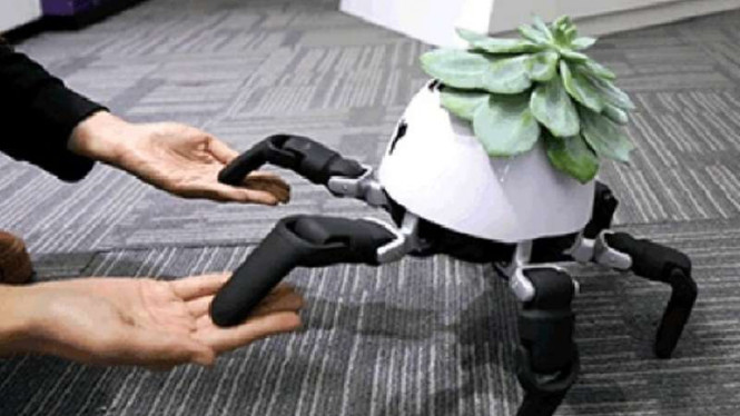 Robot Hexa