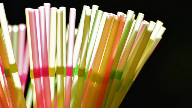 Sedotan plastik
