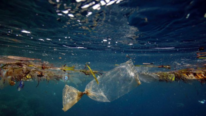 Kantong plastik susah diurai akibatnya akan membawa banyak masalah hingga ratuisan tahun