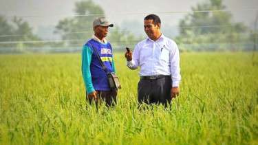 Menteri Pertanian Andi Amran Sulaiman