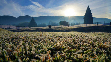 Embun Es dan Suhu Ekstrim di Dieng