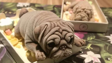 Es Krim Anak Anjing