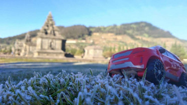 Embun es atau embun upas di Dieng Jawa Tengah